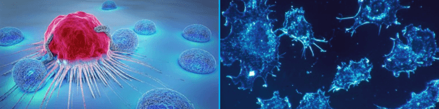 Cuba's Innovative Approach to Cancer Treatment