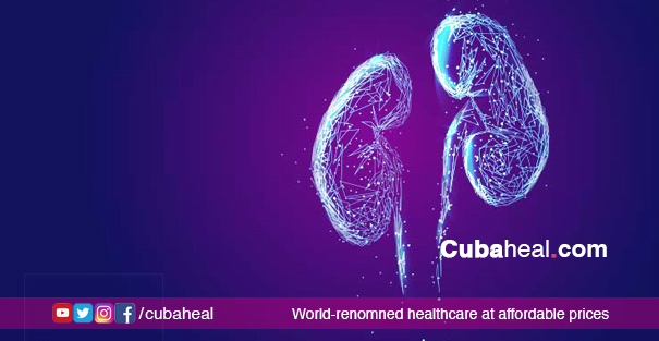 Renal transplantation assessment program | Cubaheal kidney transplant