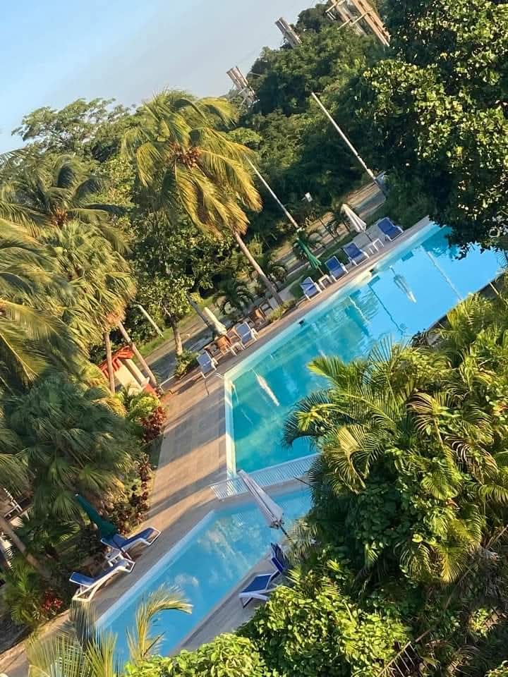 Hotel Bello Caribe exterior garden