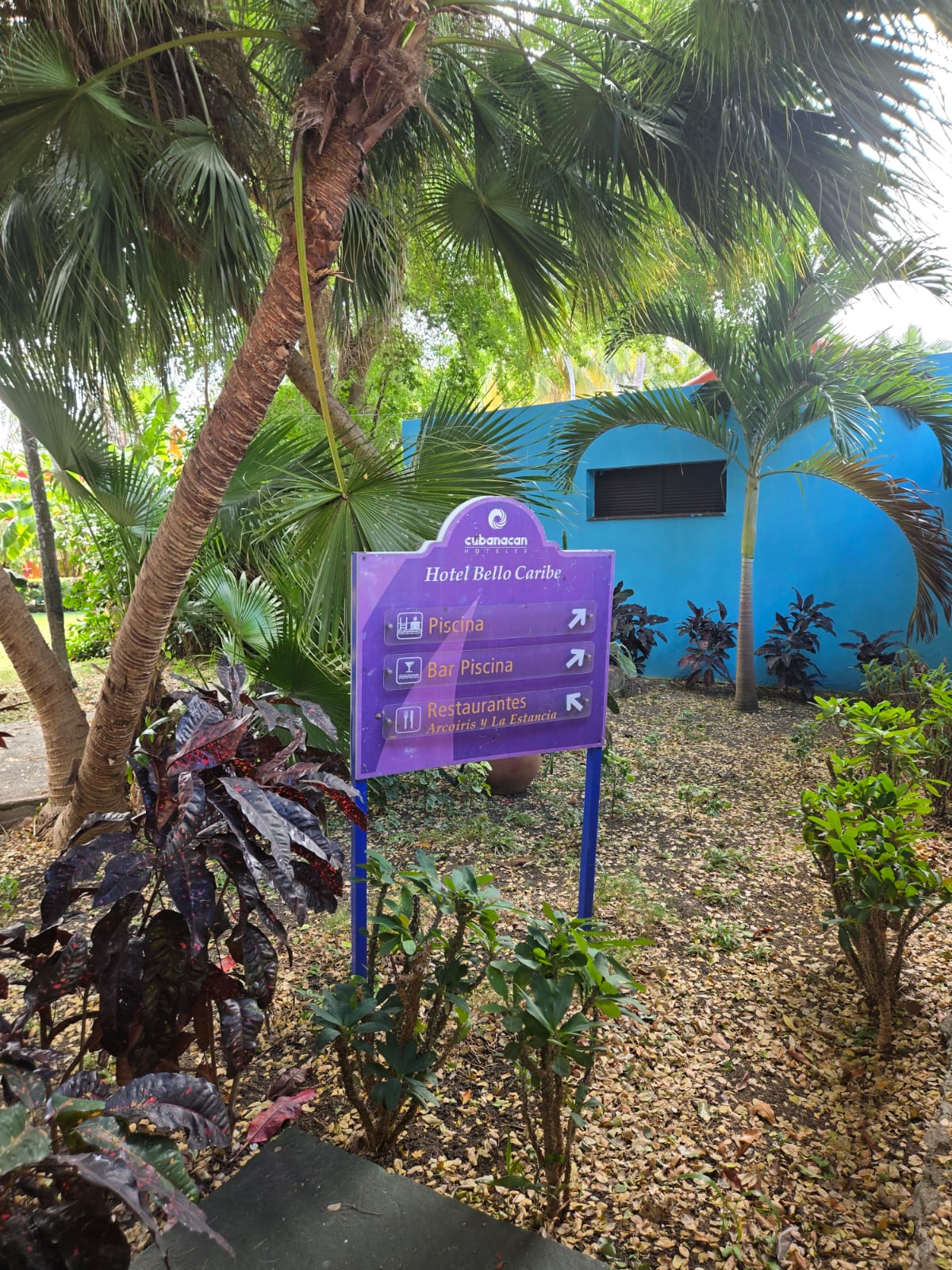 Hotel Bello Caribe building exterior